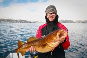 Toller Dorsch beim angeln in Norwegen.