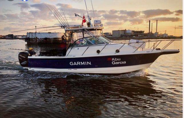 hochseeangeln hirtshals gelbes riff rhino