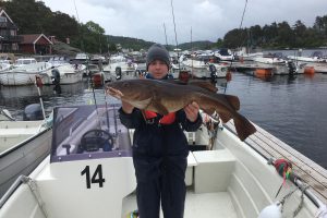 Tregde Ferie Angeln Fisch 4