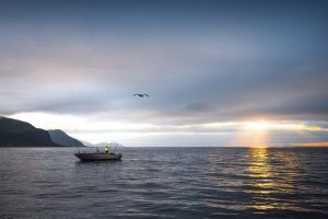 arctic nuvsvag nordnorwegen angeln