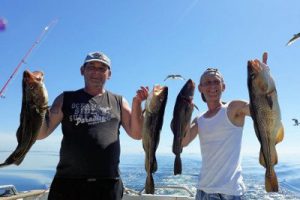 fynshav-angelboot-charter-ostsee-kleiner-belt-meeresangeln- (1)