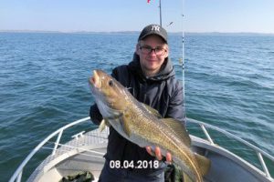 fynshav-angelboot-charter-ostsee-kleiner-belt-meeresangeln- (23)