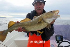 fynshav-angelboot-charter-ostsee-kleiner-belt-meeresangeln- (25)