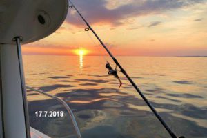 fynshav-angelboot-charter-ostsee-kleiner-belt-meeresangeln- (33)
