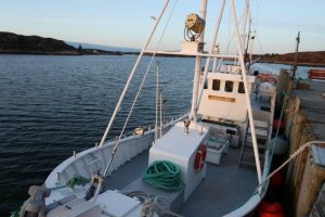gurvikdal-havfiskesenter-angelreisen-norwegen-angeln-boote- (1)