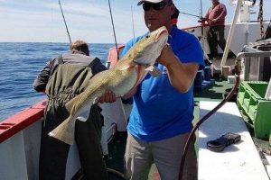 hochseeangeln ostsee star gelbes riff hirtshals dänemark dorsch (5)