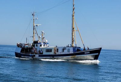 hochseeangeln dänemark hirtshals helsingör gelbes riff öresund dorsch hering ms jule