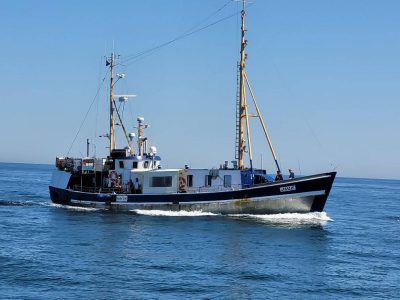 hochseeangeln dänemark hirtshals helsingör gelbes riff öresund dorsch hering ms jule