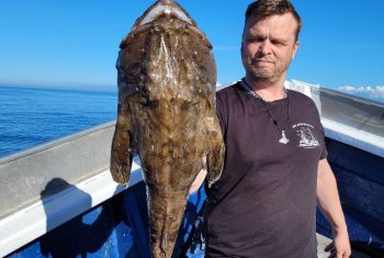 hochseeangeln dänemark hirtshals helsingör gelbes riff öresund dorsch hering ms jule