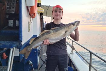hochseeangeln dänemark hirtshals helsingör gelbes riff öresund dorsch hering ms jule
