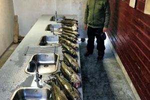 kvitsoy norwegen , kvitsoy angeln , kvitsöy norwegen angeln , angelreisen norwegen , angelurlaub norwegen
