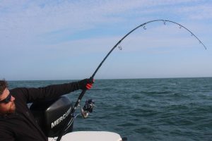 riumar spanien ebro delta angelreisen fishing (28)