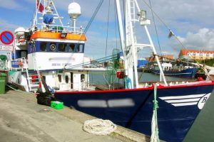 hochseeangeln dänemark hirtshals seagull gelbes riff nordsee skagerrak