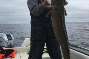 angeln smöla havfiskesenter norwegen