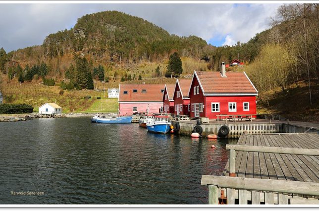 angelreisen norwegen solvag fjordferie angeln