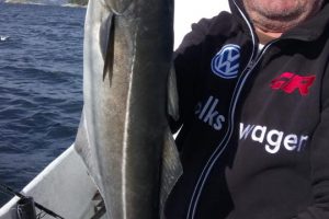 solvag-fjordferie-norwegen-angelreisen- (39)
