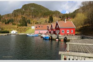 solvag-fjordferie-norwegen-angelreisen-haus1-3- (5)