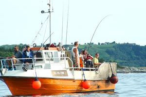 Dieselboot Hjelmeland