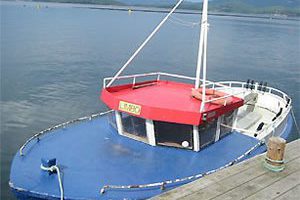 Dieselboot Limbo